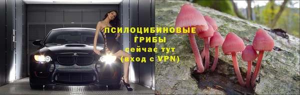 дурь Арсеньев