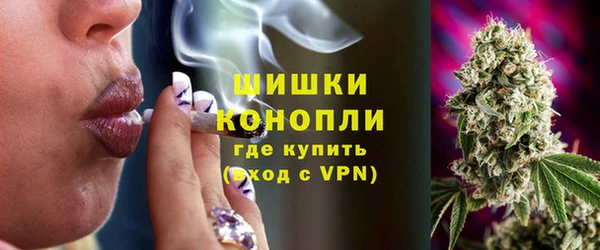 дурь Арсеньев
